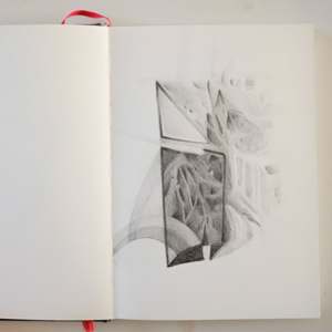 sketchbooks | image thumb |  carnet-proteines © patrice de Santa Coloma