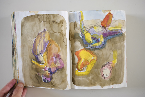 cuadernos | carnet-2009 | &copy; patrice de Santa Coloma
