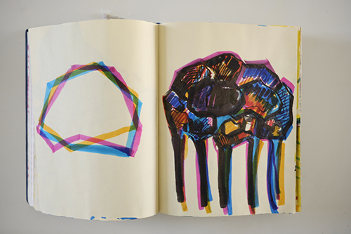 cuadernos | carnet-2009 | &copy; patrice de Santa Coloma