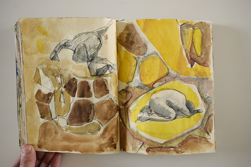 cuadernos | carnet-2009 | &copy; patrice de Santa Coloma