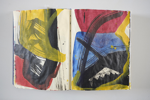 cuadernos | carnet-2009 | &copy; patrice de Santa Coloma