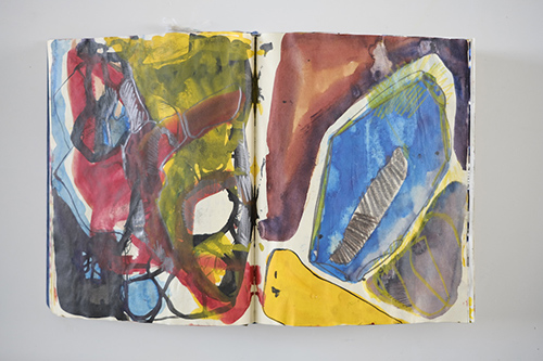 cuadernos | carnet-2009 | &copy; patrice de Santa Coloma