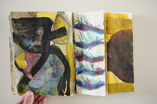 cuadernos | carnet-2009 | &copy; patrice de Santa Coloma