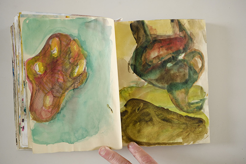 cuadernos | carnet-2009 | &copy; patrice de Santa Coloma