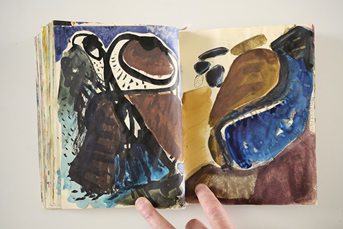 cuadernos | carnet-2009 | &copy; patrice de Santa Coloma