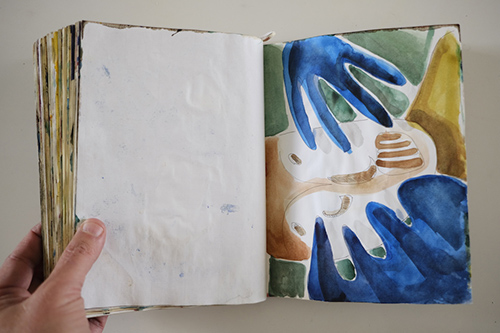 cuadernos | carnet-2009 | &copy; patrice de Santa Coloma