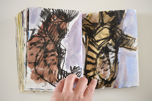 cuadernos | carnet-2009 | &copy; patrice de Santa Coloma