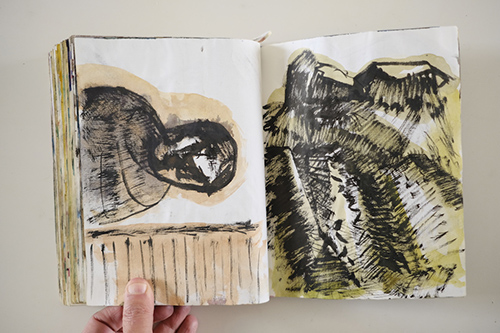 cuadernos | carnet-2009 | &copy; patrice de Santa Coloma