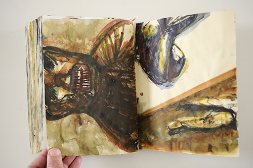 cuadernos | carnet-2009 | &copy; patrice de Santa Coloma