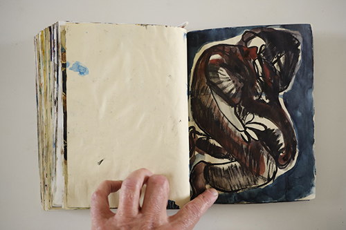 cuadernos | carnet-2009 | &copy; patrice de Santa Coloma