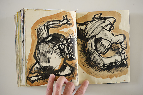 cuadernos | carnet-2009 | &copy; patrice de Santa Coloma