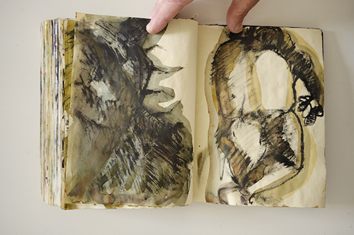 cuadernos | carnet-2009 | &copy; patrice de Santa Coloma