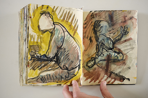 cuadernos | carnet-2009 | &copy; patrice de Santa Coloma