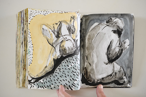 cuadernos | carnet-2009 | &copy; patrice de Santa Coloma