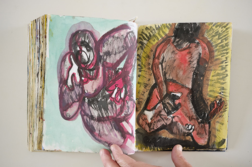 cuadernos | carnet-2009 | &copy; patrice de Santa Coloma