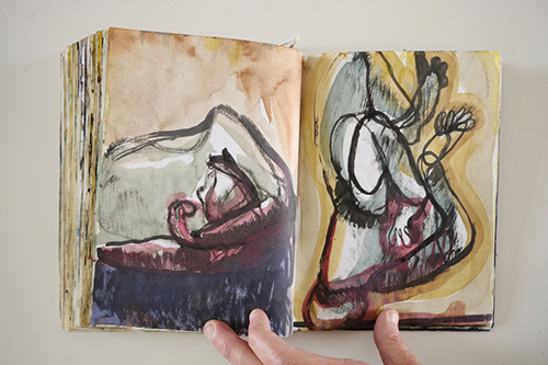 cuadernos | carnet-2009 | &copy; patrice de Santa Coloma
