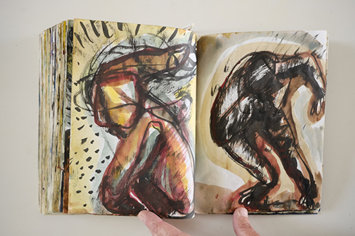 cuadernos | carnet-2009 | &copy; patrice de Santa Coloma