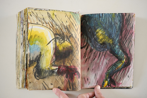 cuadernos | carnet-2009 | &copy; patrice de Santa Coloma