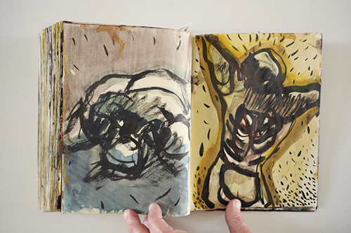 cuadernos | carnet-2009 | &copy; patrice de Santa Coloma