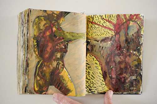 cuadernos | carnet-2009 | &copy; patrice de Santa Coloma