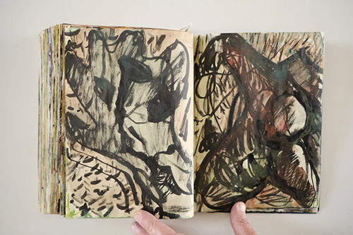 cuadernos | carnet-2009 | &copy; patrice de Santa Coloma