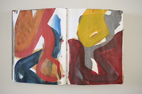 cuadernos | carnet-2009 | &copy; patrice de Santa Coloma