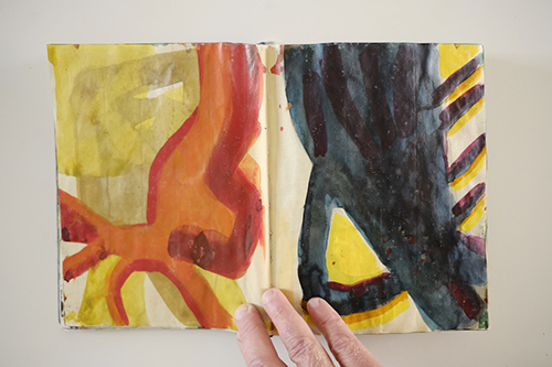 cuadernos | carnet-2009 | &copy; patrice de Santa Coloma