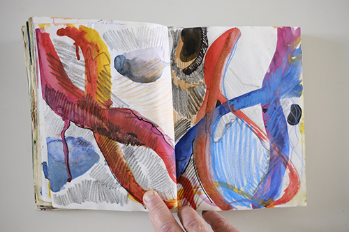 cuadernos | carnet-2009 | &copy; patrice de Santa Coloma