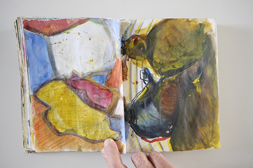 cuadernos | carnet-2009 | &copy; patrice de Santa Coloma