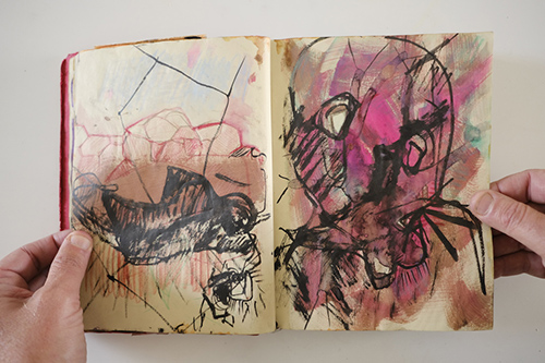 carnets | carnet-2010 | &copy; patrice de Santa Coloma