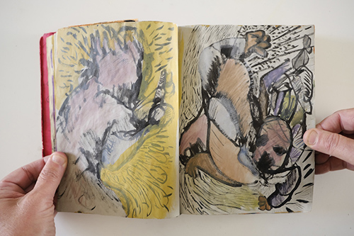 carnets | carnet-2010 | &copy; patrice de Santa Coloma