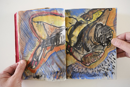 carnets | carnet-2010 | &copy; patrice de Santa Coloma
