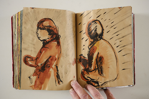carnets | carnet-2010 | &copy; patrice de Santa Coloma