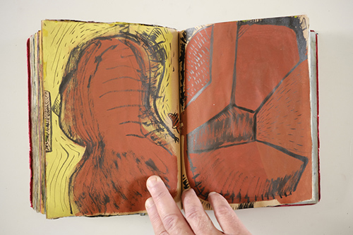 carnets | carnet-2010 | &copy; patrice de Santa Coloma