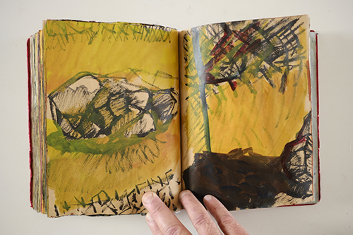 carnets | carnet-2010 | &copy; patrice de Santa Coloma