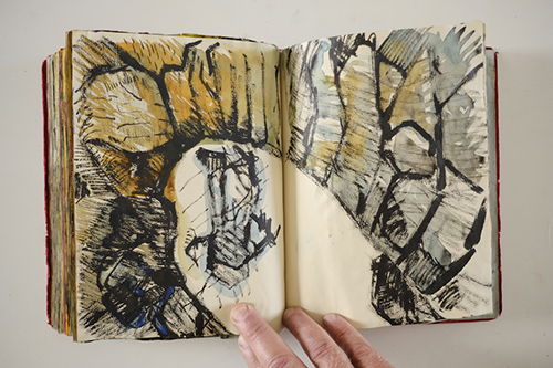 carnets | carnet-2010 | &copy; patrice de Santa Coloma