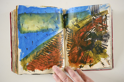 carnets | carnet-2010 | &copy; patrice de Santa Coloma