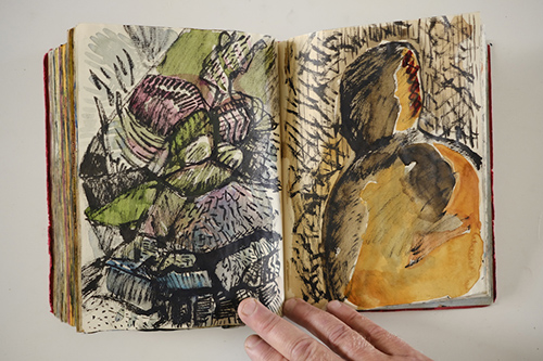 carnets | carnet-2010 | &copy; patrice de Santa Coloma