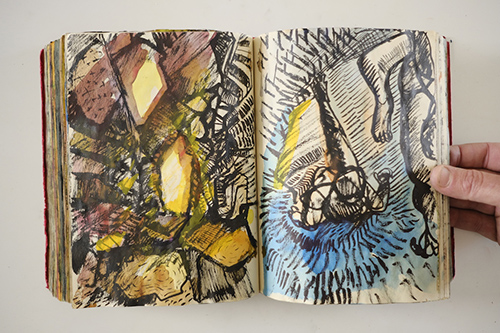 carnets | carnet-2010 | &copy; patrice de Santa Coloma
