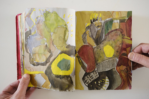 carnets | carnet-2010 | &copy; patrice de Santa Coloma