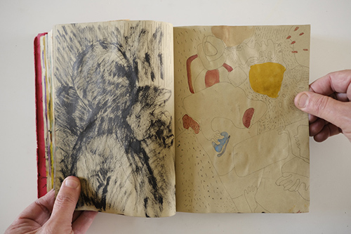 carnets | carnet-2010 | &copy; patrice de Santa Coloma