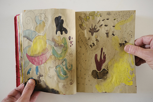 carnets | carnet-2010 | &copy; patrice de Santa Coloma