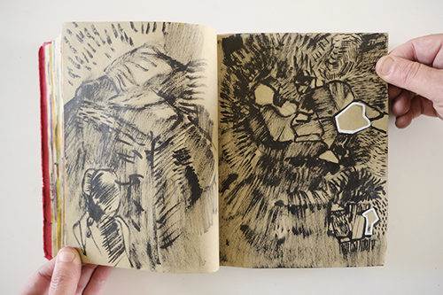 carnets | carnet-2010 | &copy; patrice de Santa Coloma