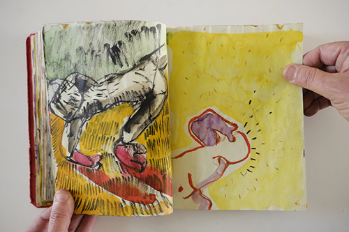 carnets | carnet-2010 | &copy; patrice de Santa Coloma