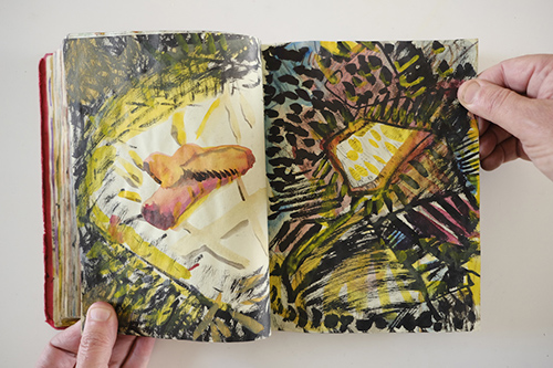 carnets | carnet-2010 | &copy; patrice de Santa Coloma