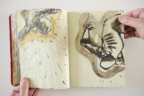 carnets | carnet-2010 | &copy; patrice de Santa Coloma