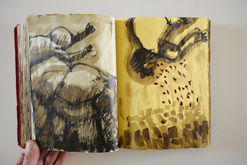 carnets | carnet-2010 | &copy; patrice de Santa Coloma