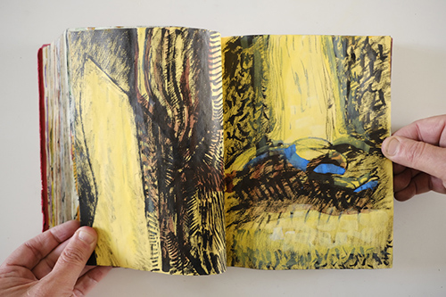 carnets | carnet-2010 | &copy; patrice de Santa Coloma