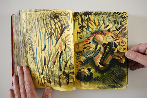 carnets | carnet-2010 | &copy; patrice de Santa Coloma