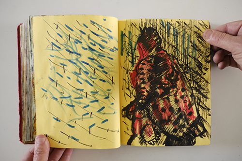 carnets | carnet-2010 | &copy; patrice de Santa Coloma